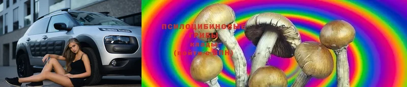 Галлюциногенные грибы MAGIC MUSHROOMS  Бодайбо 